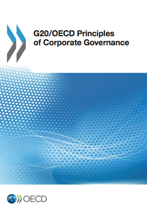 Cefeidas Group Managing Directors train professionals on international corporate governance principles